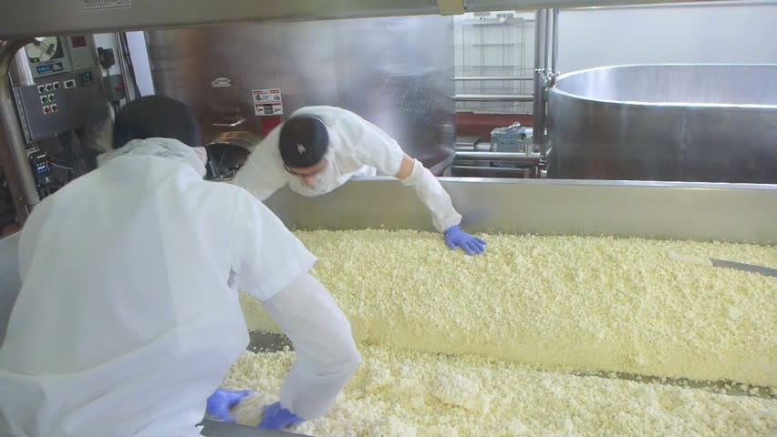 SEATTLE, WASHINGTON - CIRCA 2013: Two people working and making cheese with