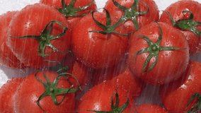 4K slow motion video of washing tomatoes in the shower.
4K 120fps edited to 30fps.
