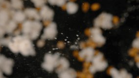 Popcorn kernels cooking in a pan
