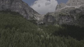 Aerial Drone footage view of Forest in Dolomites in Italy // no video editing