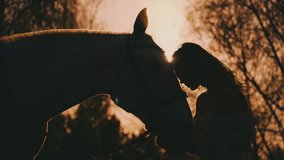 dark shadow unrecognizable silhouette of woman with horse. Fantasy happy girl hugs her horse with love care. Fairy Queen hand hold muzle pet. nature sunset forest trees magic sun rays light sky 4k - Powered by Shutterstock - Get 15% off with code: PIKWIZARD15