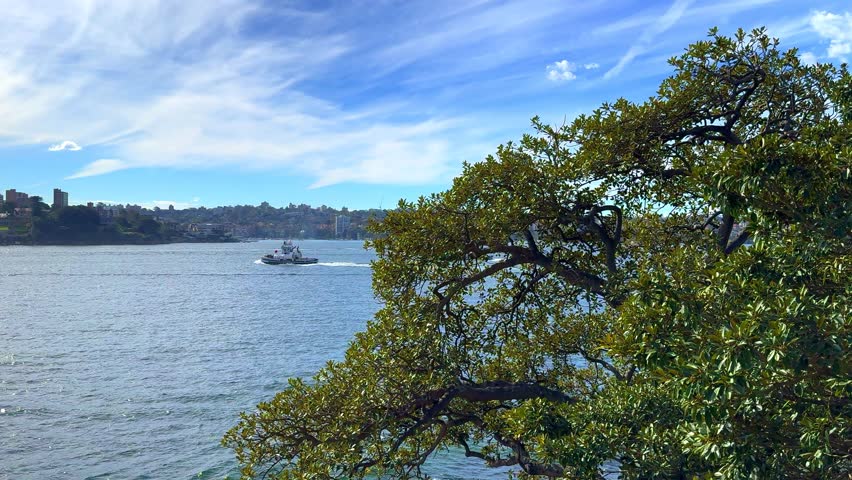 Sydney Harbour forshore viewed from the Gardens in NSW Australia on a nice sunny and partly cloudy afternoon blue skies