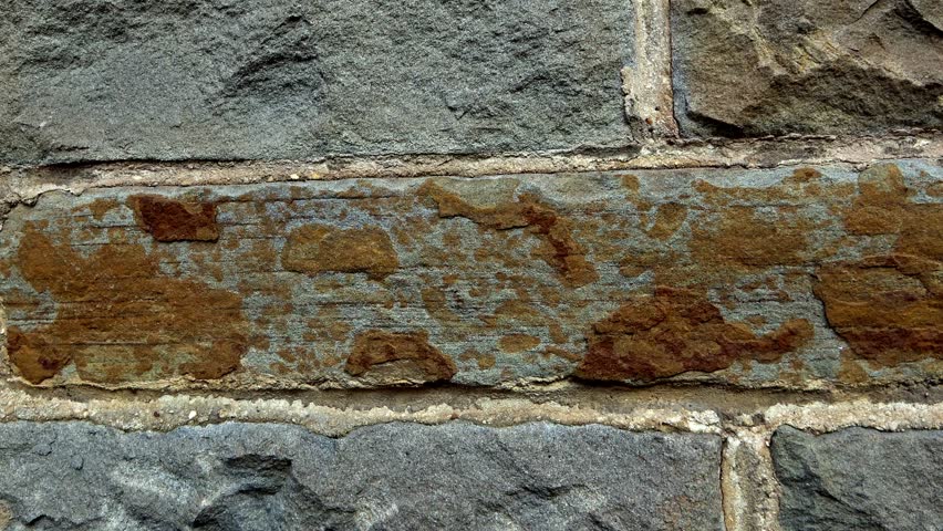 Brick texture wall, closeup motion