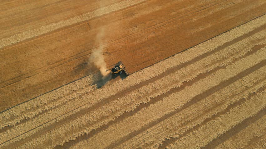 drone shot around combine harvester in a wheat field revealing the stirling range national park and the landscape in the background, western australia
