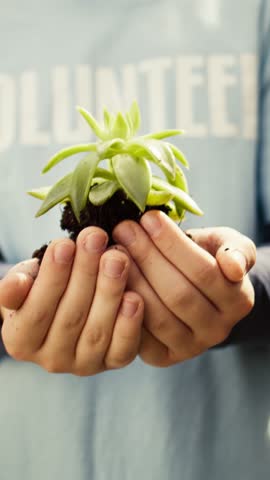 Little kid volunteer holding a small seedling with natural soil in hands, presenting plant for new habitat in the forest. Child fighting nature preservation, environmental care awareness. Camera B. Royalty-Free Stock Footage #3491653667
