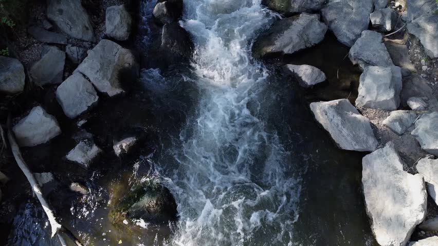 River with stones and trees byside	cinematic