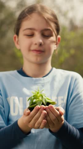 Little kid volunteer holding a small seedling with natural soil in hands, presenting plant for new habitat in the forest. Child fighting nature preservation, environmental care awareness. Camera A. Royalty-Free Stock Footage #3491657501