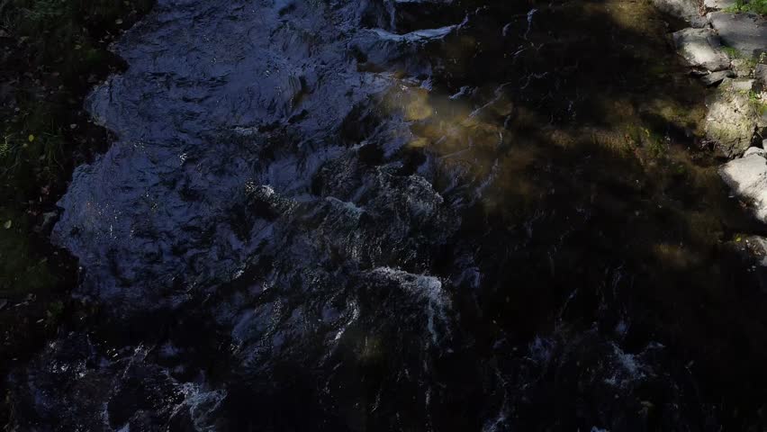 River with stones and trees byside cinematic droneshot