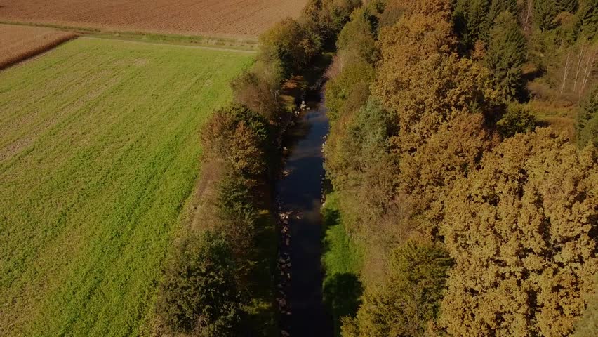 River with stones and trees byside cinematic droneshot