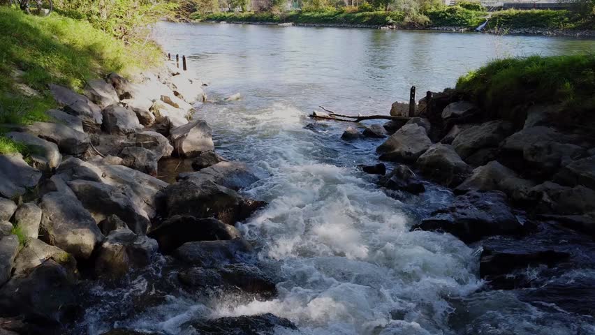 River with stones and trees byside