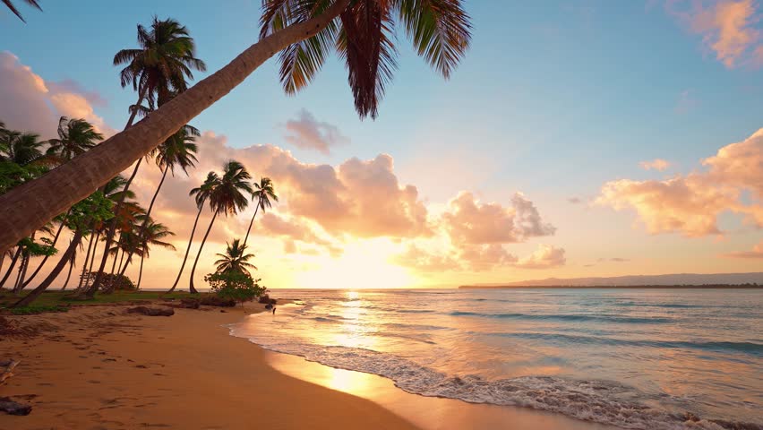 Amazing sunset landscape over the Caribbean Sea. Waves hitting the sand on a sandy beach. Sunset landscape of a paradise tropical island with palm trees. Orange sunset on coconut palm beach.