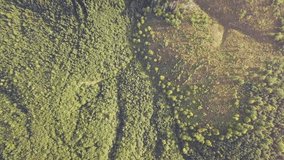 Video Background with Wooded Hills. Flat Lay Aerial View