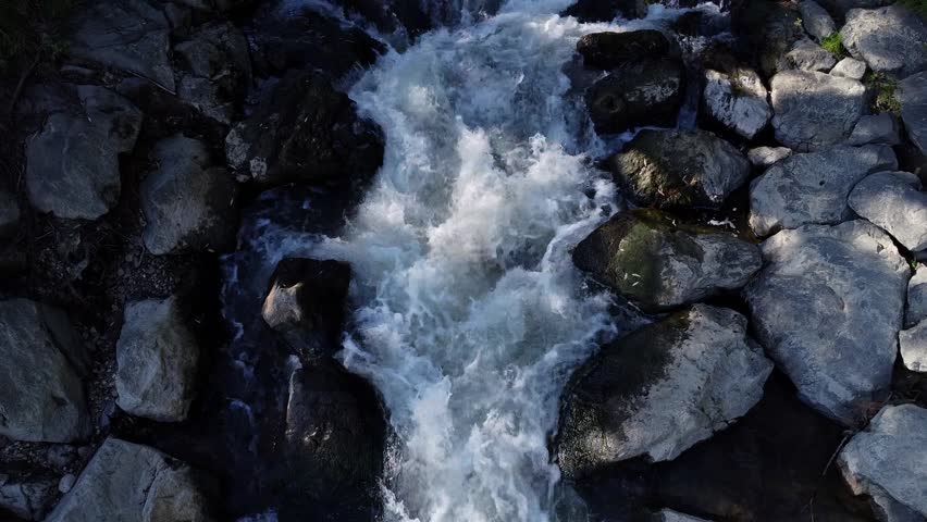 River with stones and trees byside