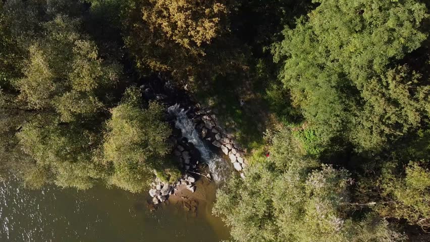 River with stones and trees byside