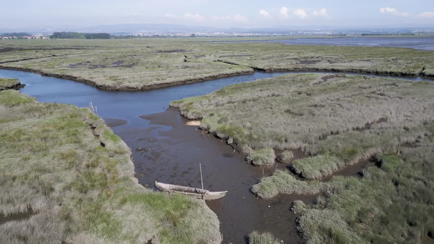 abandoned wooden boat rests in narrow waterway amidst verdant marshlands of Estarreja, Aveiro, Portugal - aerial