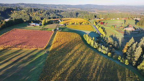 Aerial: Twilight Descends On A Patchwork Of Vineyards And Farmland, Where The Interplay Of Light And Shadow Accentuates The Varied Textures Of The Rural Tapestry. - Sherwood, Oregon Stockvideó