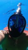 Man in the mask floats on the water surface in the sea. View underwater. Vertical Video