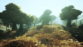 cartoon Sunrise on a foggy morning - Powered by Shutterstock - Get 15% off with code: PIKWIZARD15