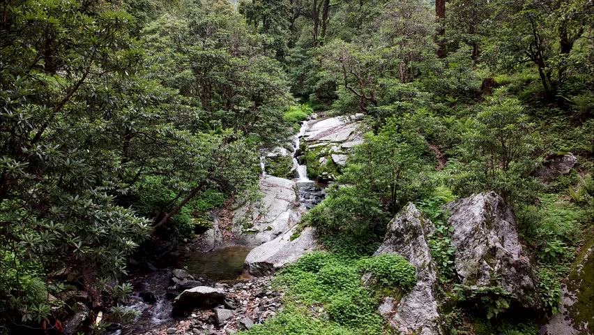 Himalayan Rivulets - Embark on a Journey Through Nature