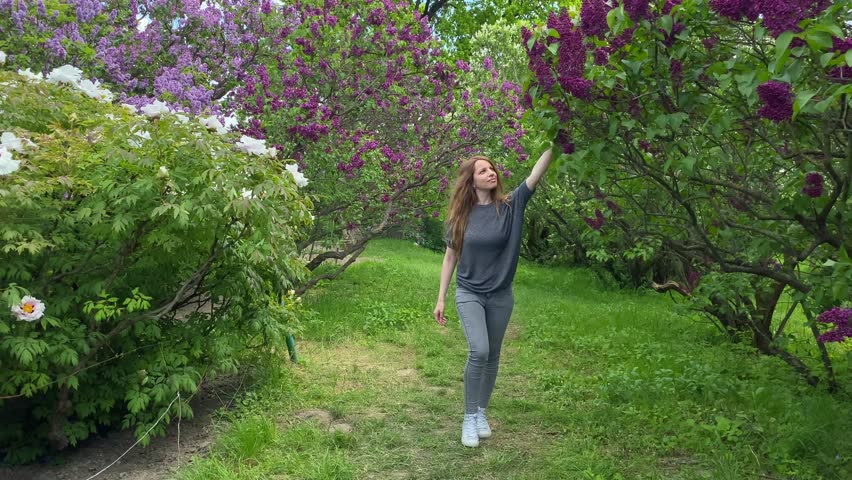 A girl walks along a blooming lilac and touches a flower petal with her hand. A walk in the park. The girl runs her hand over the red lilac flowers, and then bends the branch and smells it.