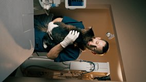 vertical video in a veterinary clinic veterinarian stands and basks with a cat in his arms