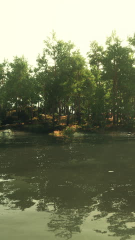 Mountain River Among the Old Canadian Forest
