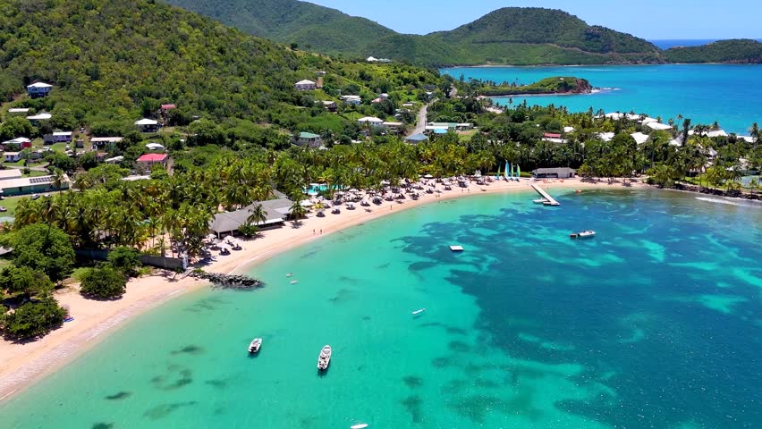 Panoramic aerial view of the beautiful Morris Bay Beach with palm trees and emerald see, Antigua and Barbuda, Caribbean