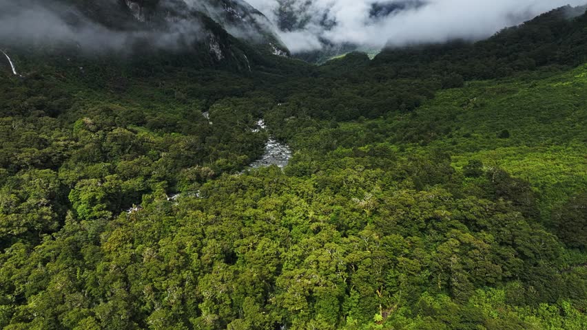 Aerial pan establishes winding river at bottom of forested valley covered in clouds, Milford Sound