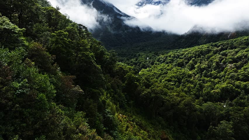 Sunlight shines down on tropical forest and winding river valley with low clouds across mountains