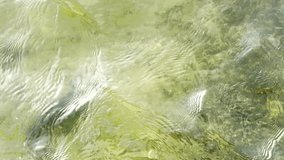 Water movement closeup video from top view with algae at the bottom of water - 4K video