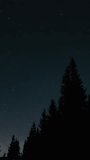 Time lapse of moving stars over a forest in the night sky. Starry night background. Epic video, vertical footage