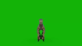 Dinosaurs top Resolution green screen video 4k, Easy editable green screen video, high quality vector 3D illustration. Top choice green screen background