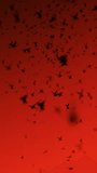 Vertical video - Seamlessly looping wildlife motion background animation: a large flock of small black birds or swallows flying across a red sky at sunset.