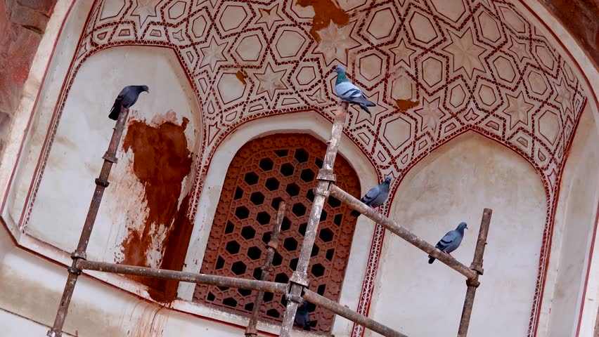 8 January 2024- Pigeons Perched on Wooden Poles inside of Humayun