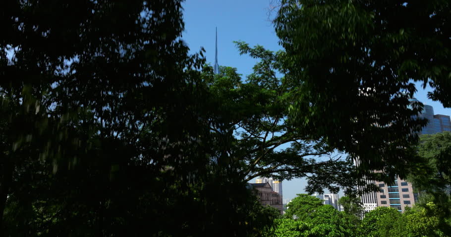 Ascending Reveal Behind Foliage Of Famous Merdeka Tower In Kuala Lumpur, Malaysia. wide shot Royalty-Free Stock Footage #3493205605