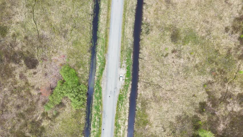 Moving bird
