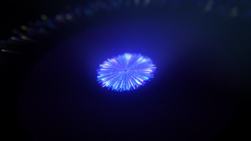 Shutterstock Video
