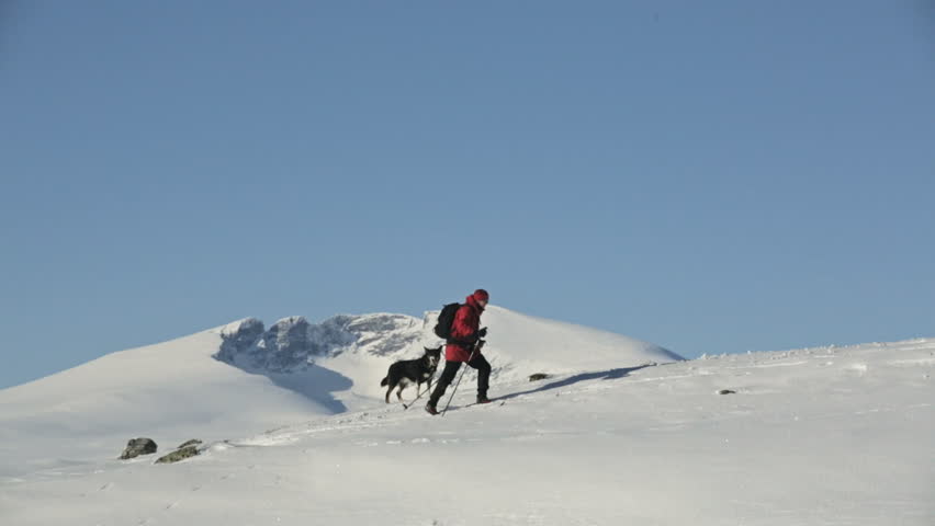 Woman and Dog mountain skiing