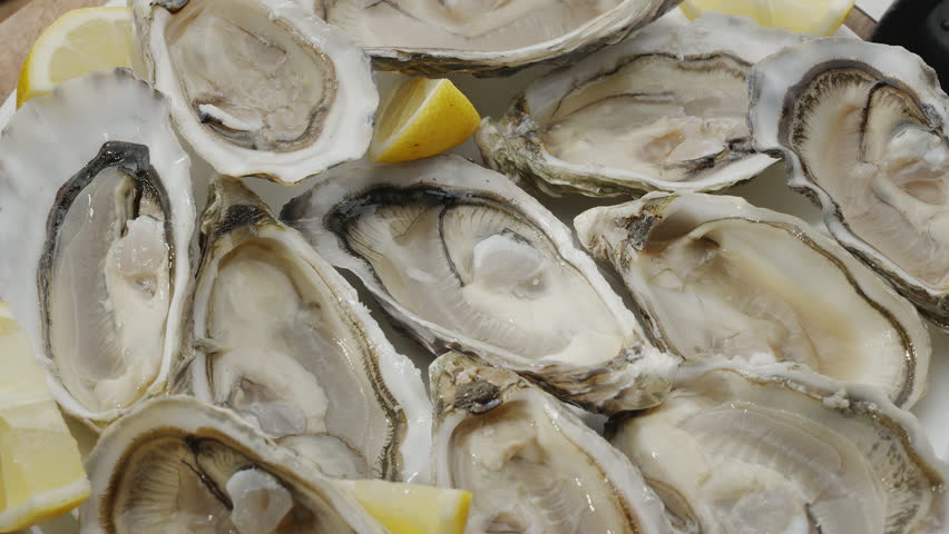 Fresh raw edible oysters, popular shellfish seafood close-up. Mollusk marine oysters. Royalty-Free Stock Footage #3493777175