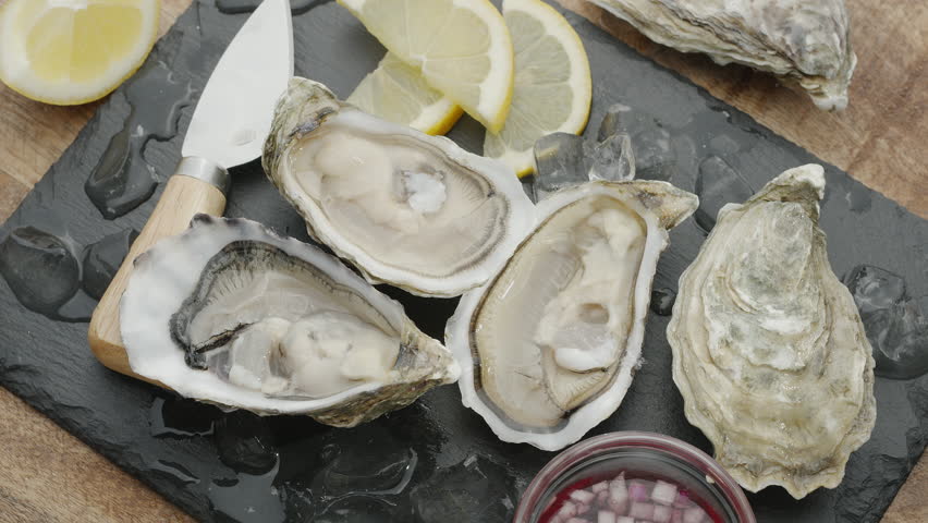 Fresh raw edible oysters, popular shellfish seafood close-up. Mollusk marine oysters. Royalty-Free Stock Footage #3493777211
