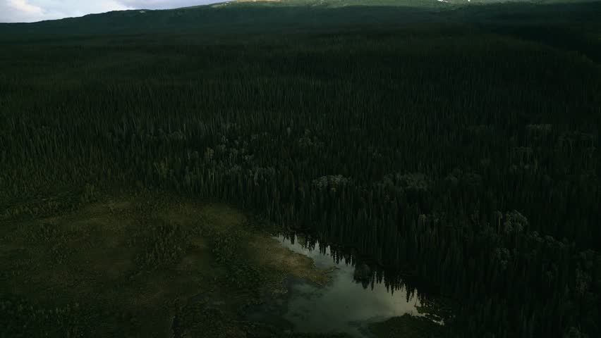 Aerial drone view of a vast and spectacular wilderness, Haines Junction, Yukon