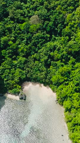 Beach in Cadlao Island. Green trees over the island. El Nido, Palawan. Philippines. Vertical view. Royalty-Free Stock Footage #3493954629