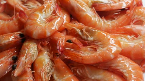 4k, king fresh sea red prawn shrimp rotate, isolate, close-up