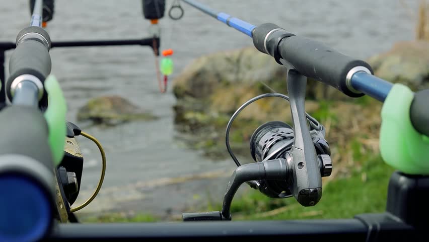 Close up carp fishing rod setup with multiple rods on a stand with alarms set lines near lakeside in early overcast morning. Hobby leisure, angling equipment gear. Fishing reels tackle holders
 Royalty-Free Stock Footage #3494115331