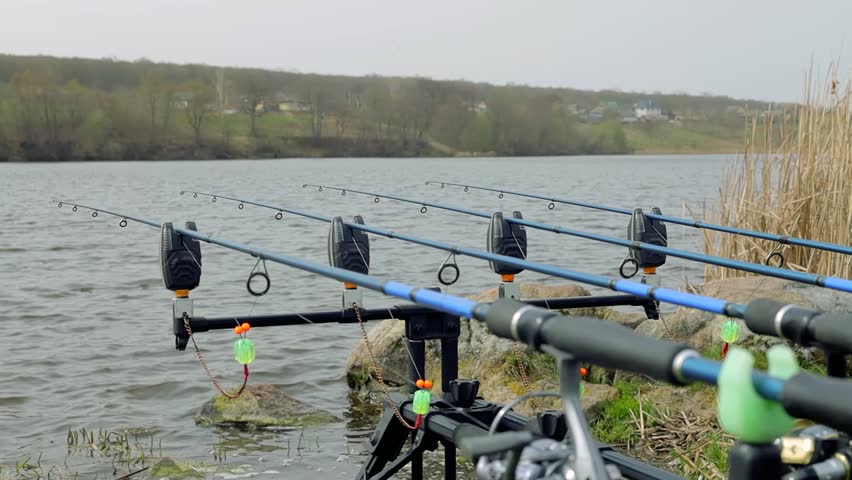 Close up carp fishing rod setup with multiple rods on a stand with alarms set lines near lakeside in early overcast morning. Hobby leisure, angling equipment gear. Fishing reels tackle holders Royalty-Free Stock Footage #3494115373