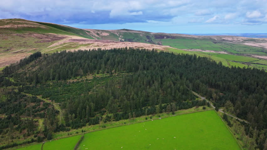 Aerial shot flying over conifer plantation and highlands in Wales