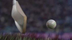 T20 Cricket world cup Versus video, Engage audiences with dynamic cricketing objects and captivating storytelling.
