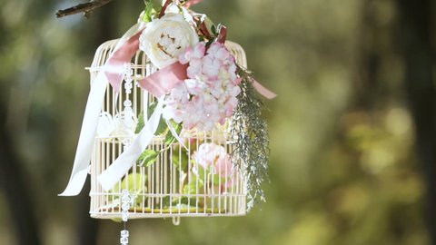 Decorative cage hanging on a tree. The bride has her hands. The camera turns on its tail.