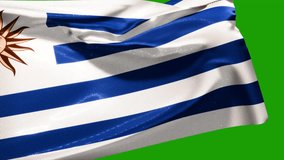 The national flag of Uruguay waving transition 4K animation over an easily keyable background. Green screen and luma matte.	
 - Powered by Shutterstock - Get 15% off with code: PIKWIZARD15