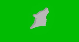 Animation of rotation of a white wolf head symbol with shadow. Simple and complex rotation. Seamless looped 4k animation on green chroma key background